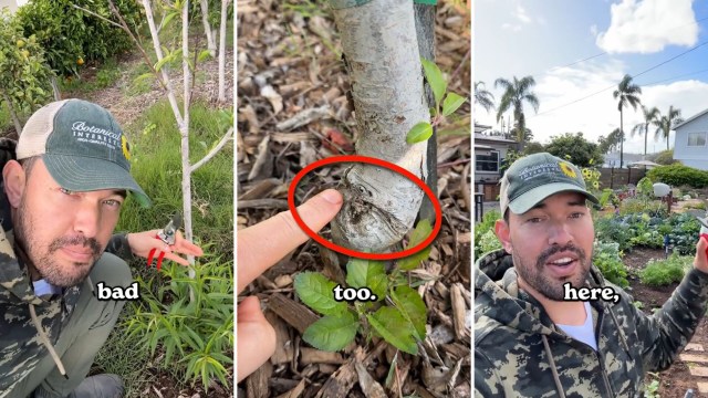 Gardening is a great way to save money on produce, especially with hacks like these that help us to cultivate such a bounty.