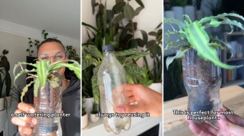 "Great way to reuse old plastic bottles instead of just throwing them away."