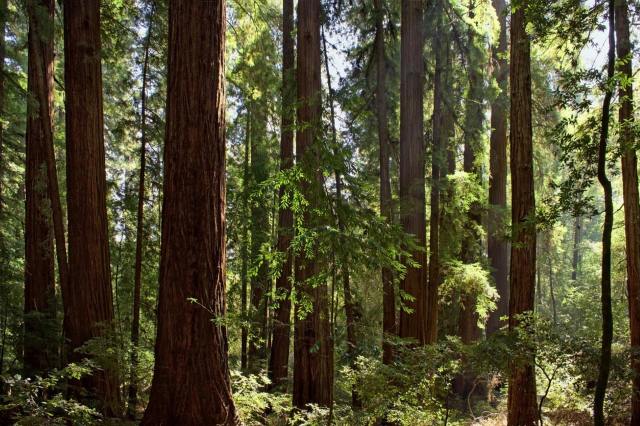 "I've got an hour of material with nothing, at the high point of spring."