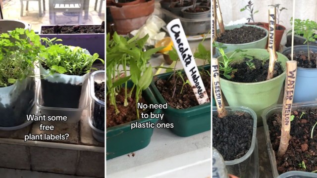 "I'm definitely going to try this."