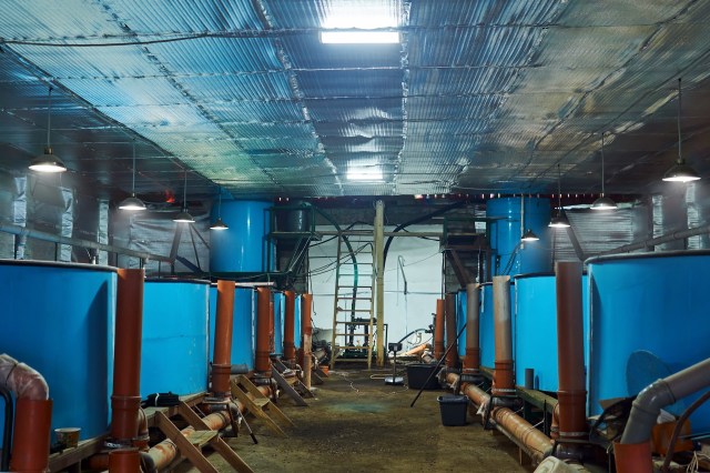 "This is unacceptable."