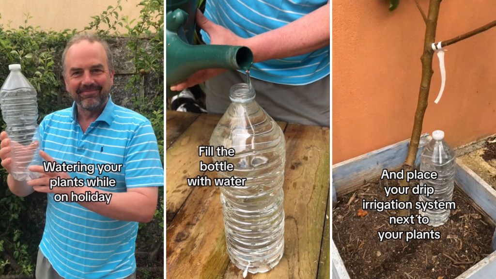 Gardener demonstrates cost-effective hack to transform discarded materials  into plant-watering system: 'This is amazing'