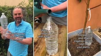 This hack is an easy way to create an affordable irrigation system.