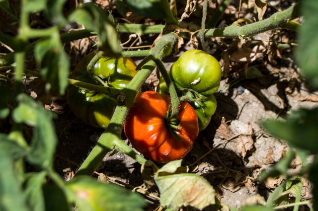 "They can get out of control for sure!"