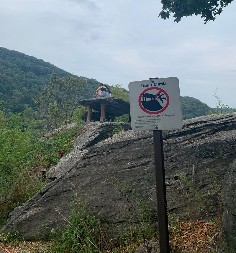 "I would have called the park authorities."