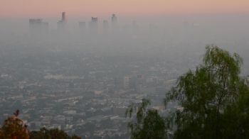 The World Health Organization says that around seven million people die prematurely due to air pollution.