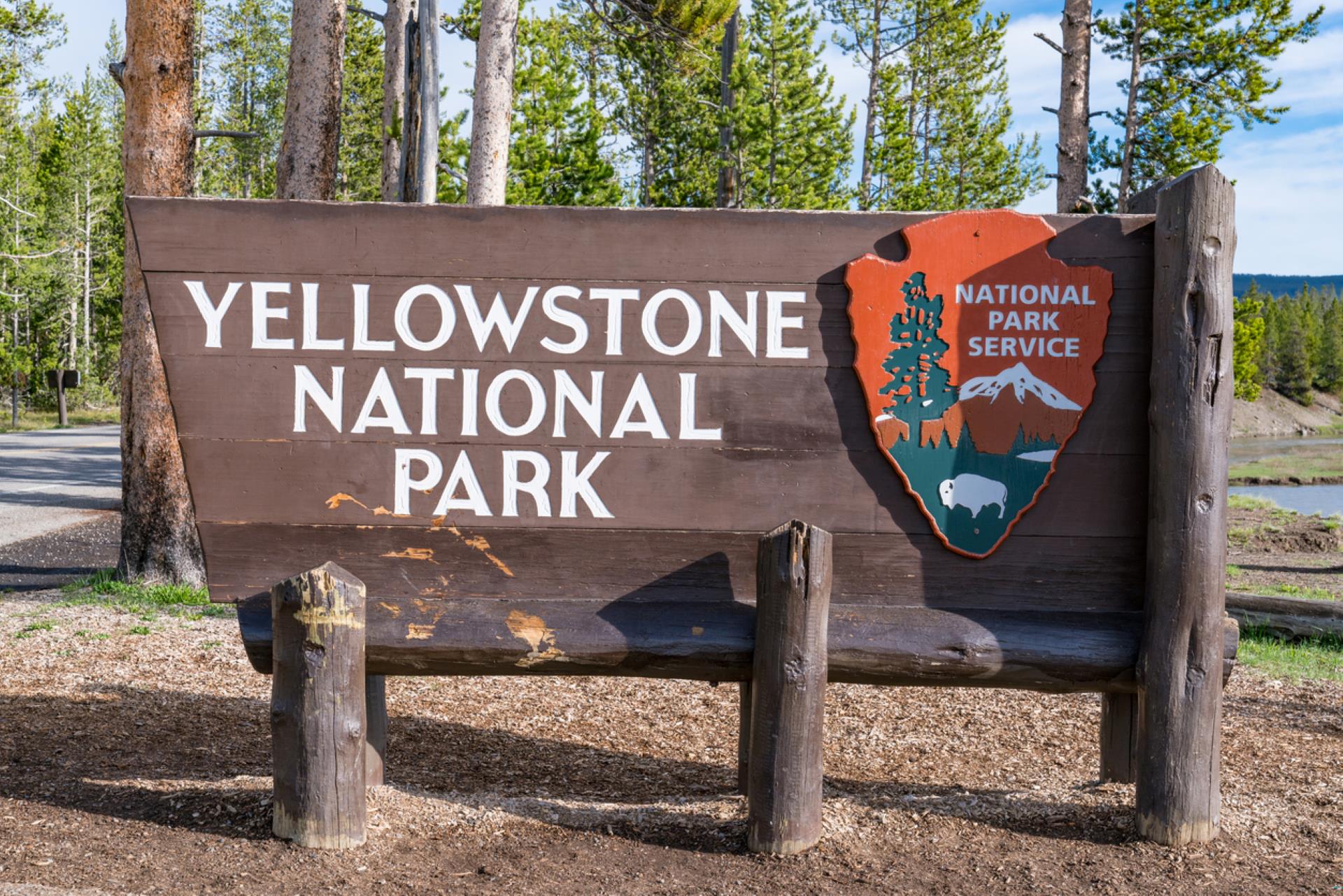 Yellowstone park employee sends buzzing with visitors