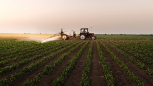 "That is not science. That is corruption."