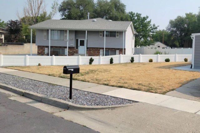 "3 years of progression from grass to wild flowers and a garden."