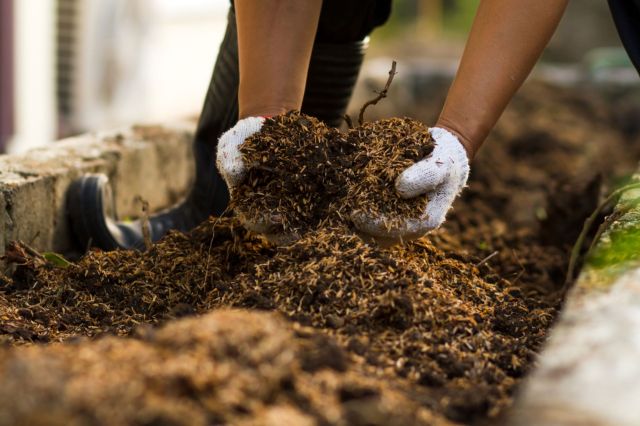 "I’m so wary of all the bagged composts I see at the box stores."