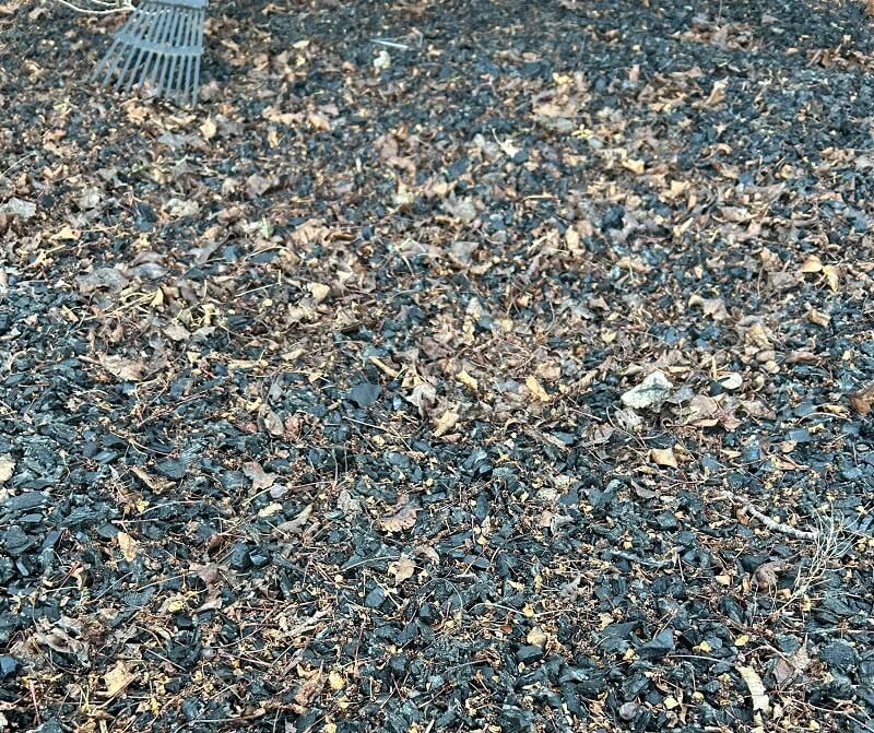 "I wasn't present enough at the time to help them think it through and now here we are."