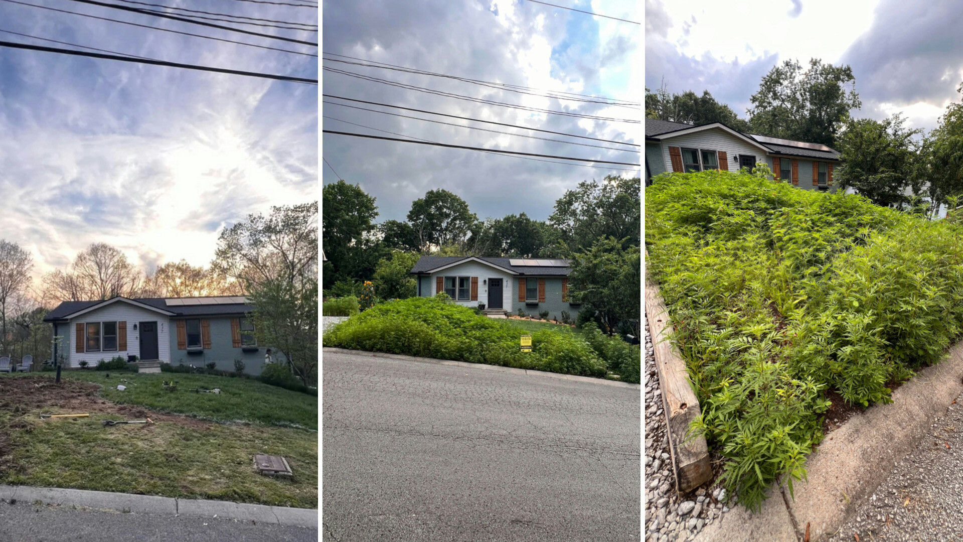 Homeowner draws admiration with beforeandafter transformation of