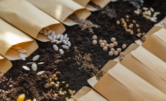 The living seed bank initiative brings significant benefits to the farming community and Indigenous peoples.