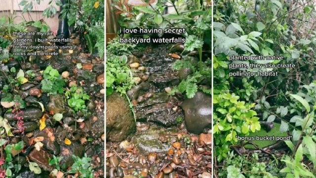 "That is so freaking pretty."