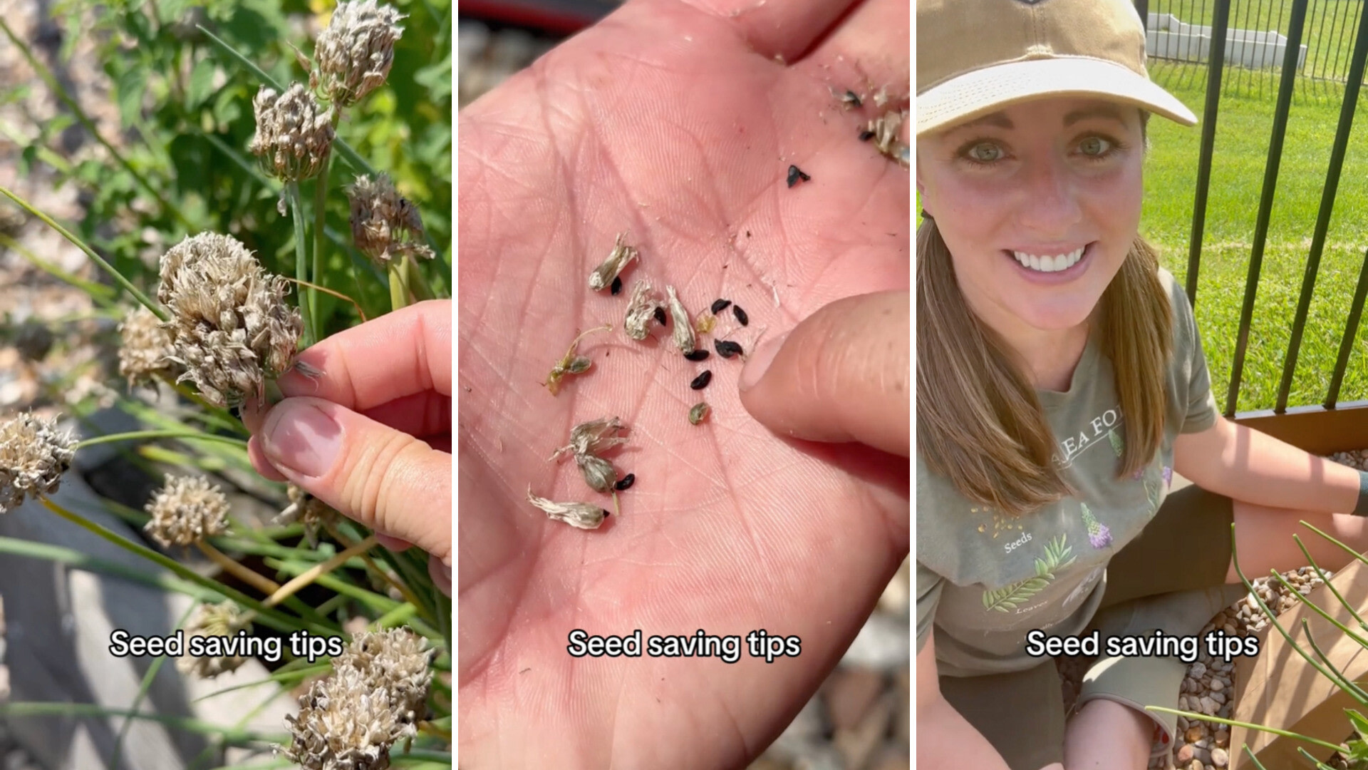 Master gardener shares seedsaving tip for seemingly infinite plants
