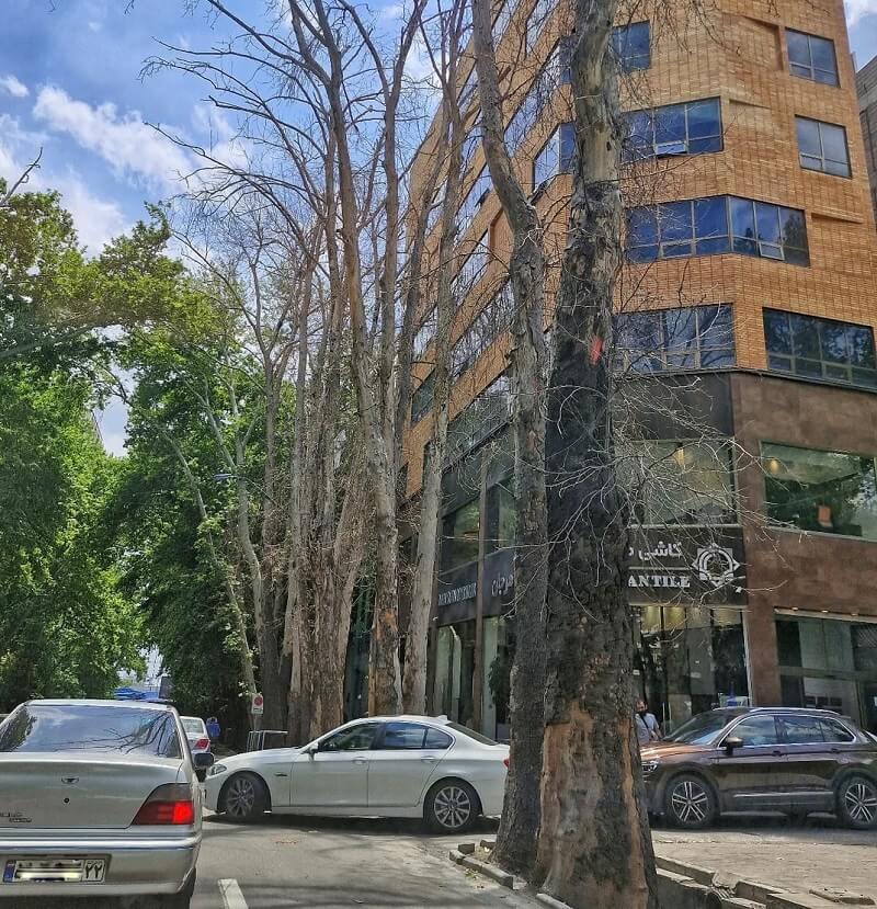 Outraged resident shares aftermath photo of building owner pouring