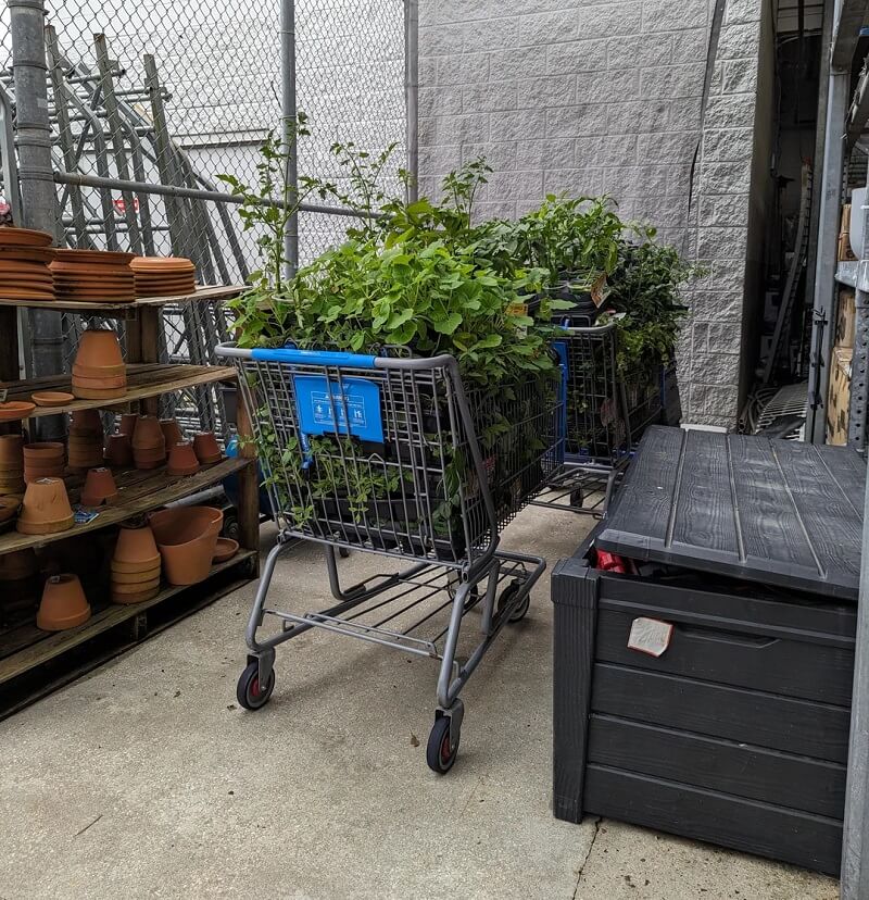 Shopper calls out Walmart after spotting countless plants getting