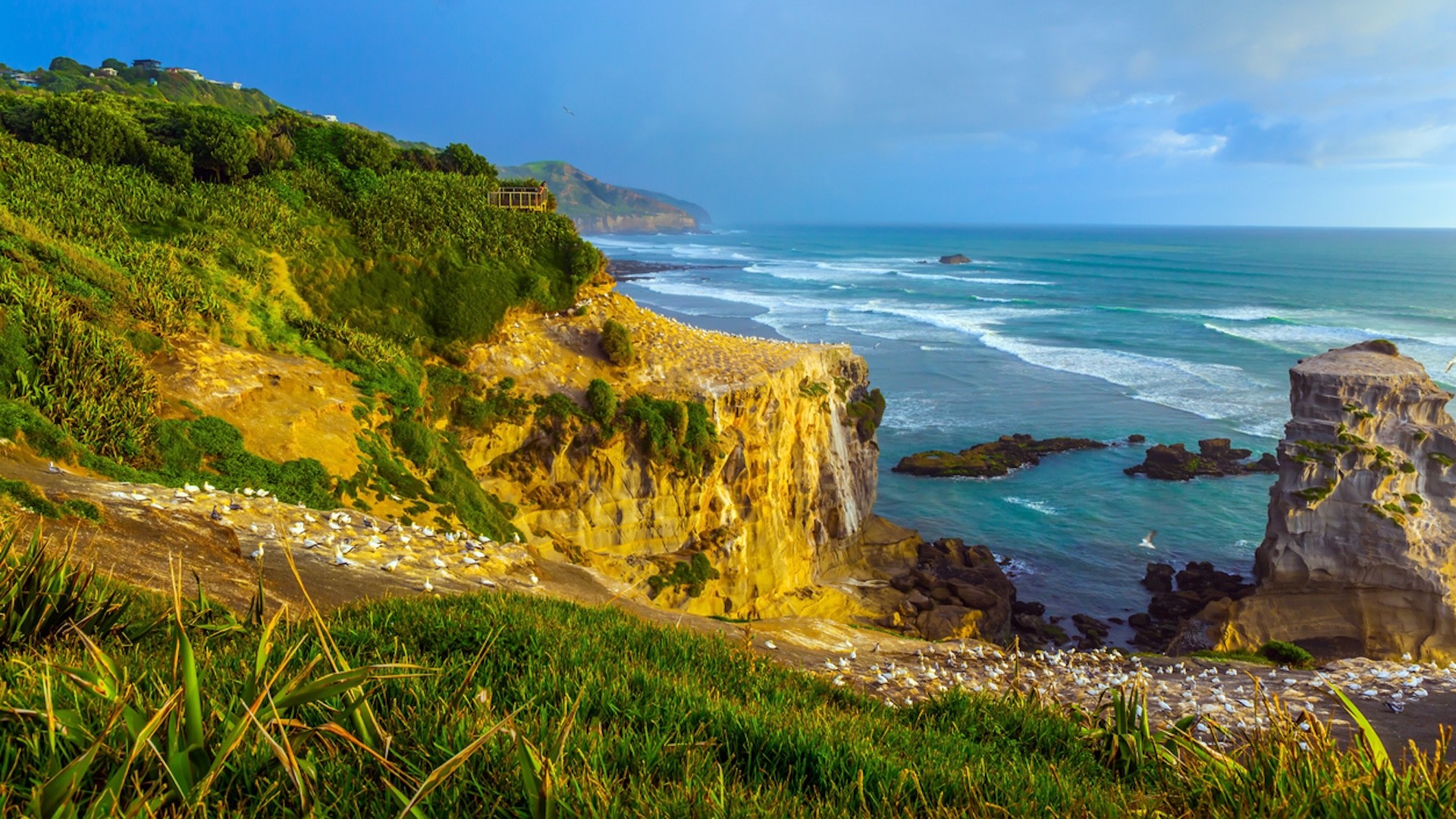 'Race to Survive: New Zealand' contestant under fire for actions on