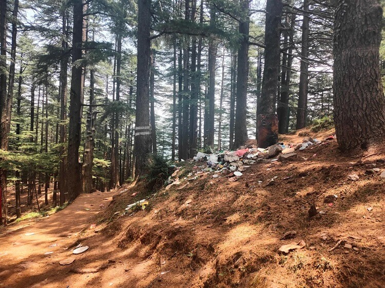 This incident highlights a growing problem as more people seek outdoor experiences without fully understanding their impact on nature.