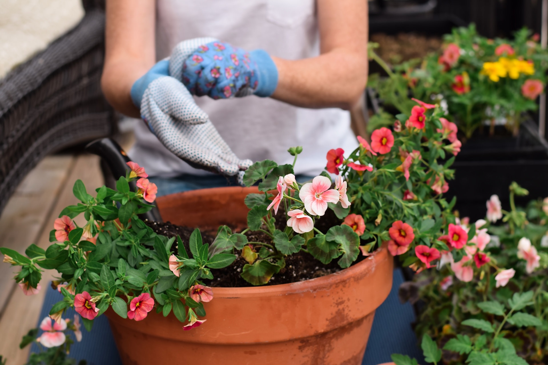 Gardener Shares Intriguing Transformation Of Backyard Native Plant Bog gardener-shares-intriguing-transformation-of-backyard-native-plant-bog