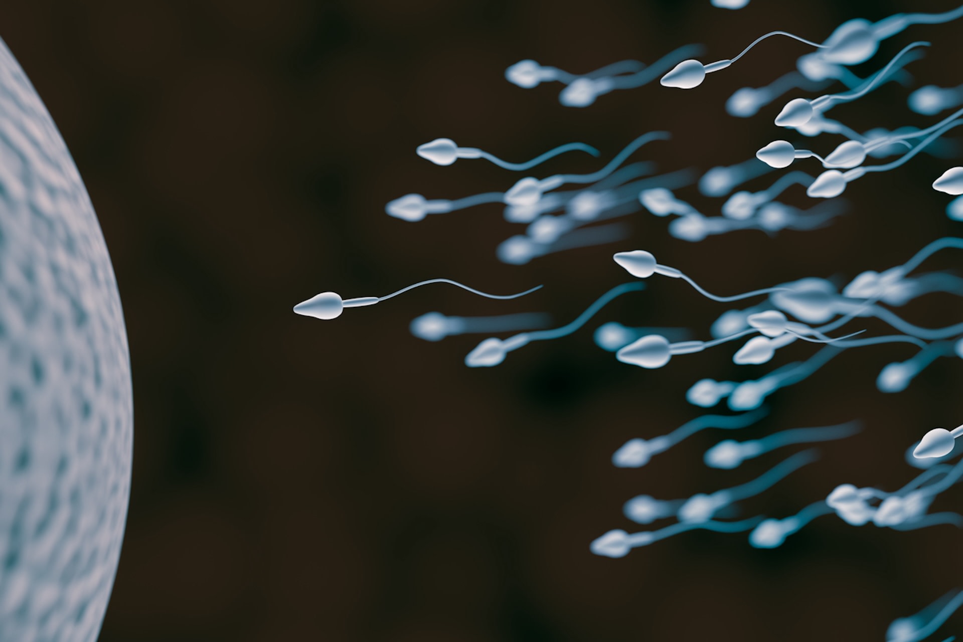 New study shows concerning impacts of air pollution on male fertility