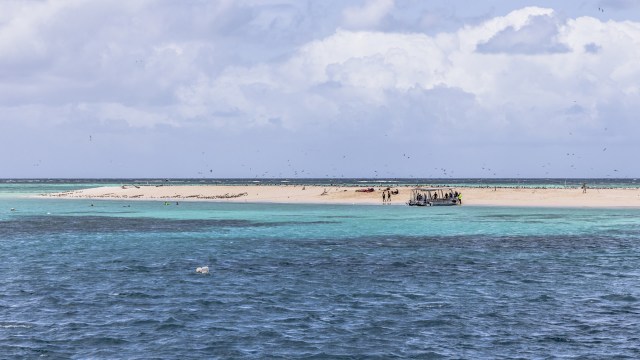 This costly situation for the couple emphasizes the need to vacation responsibly, especially when visiting national parks.