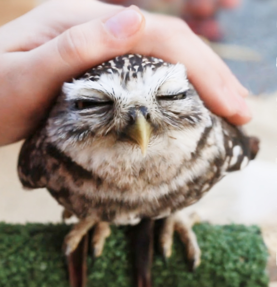 Researchers develop innovative solution to save Germany's beer industry