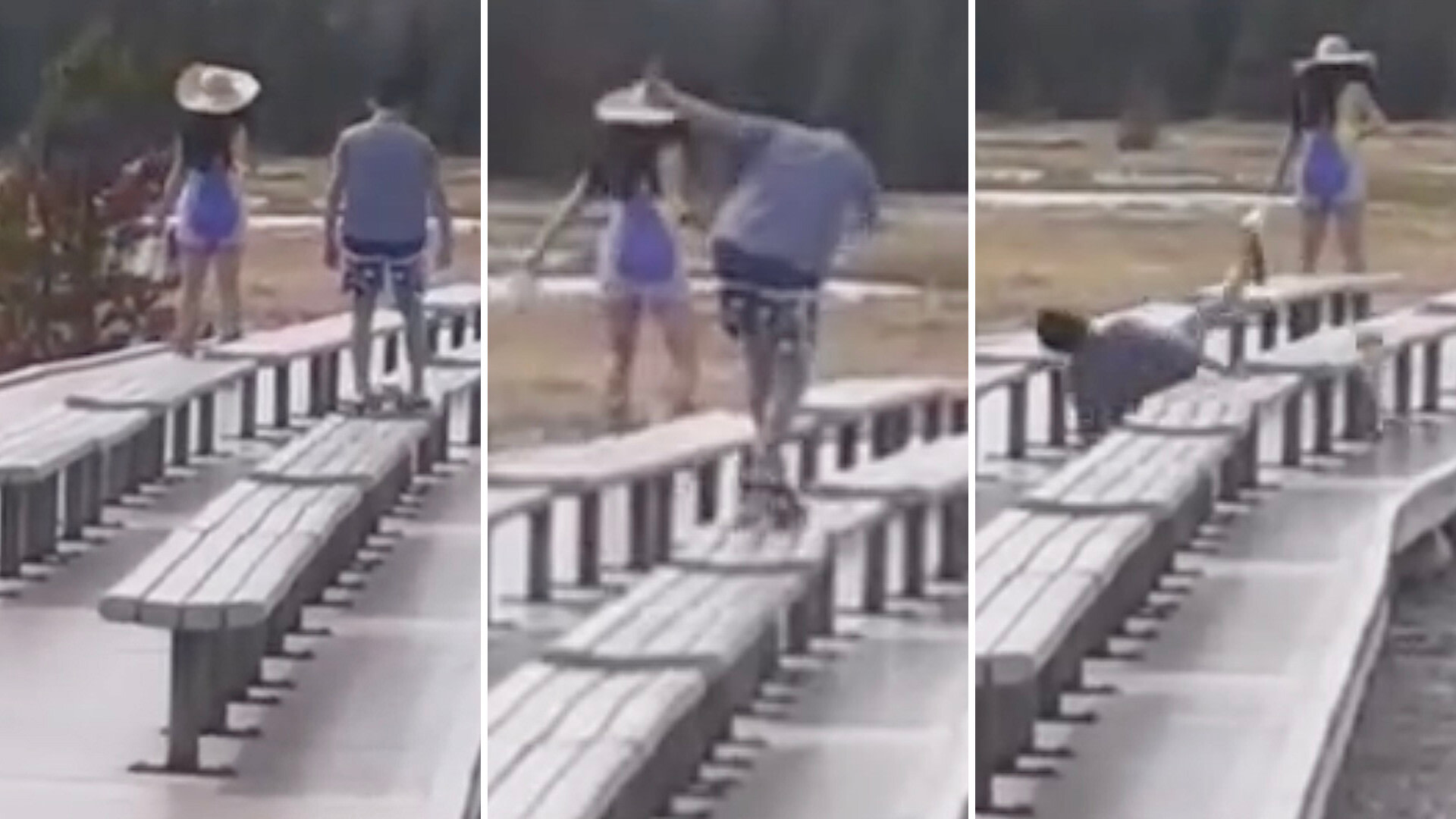 Yellowstone tourist experiences instant consequences after blatantly