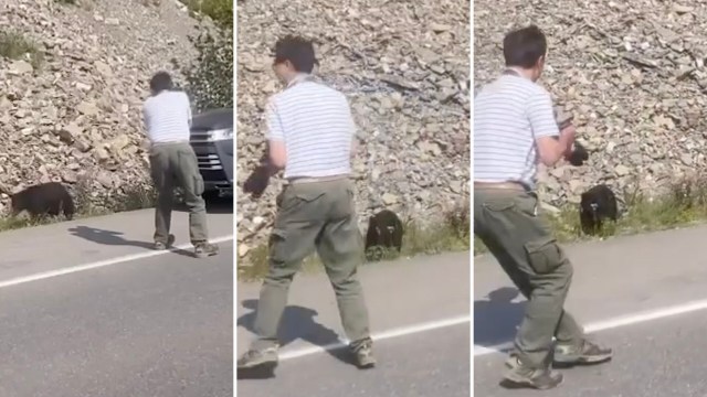 "Wish people would just leave them be."