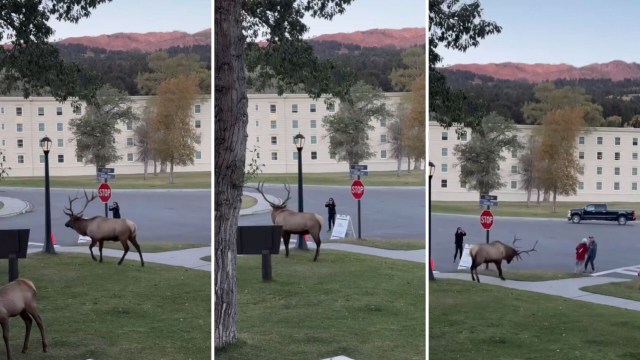 Staying on designated paths and maintaining safe distances ensures the safety of animals and humans alike.