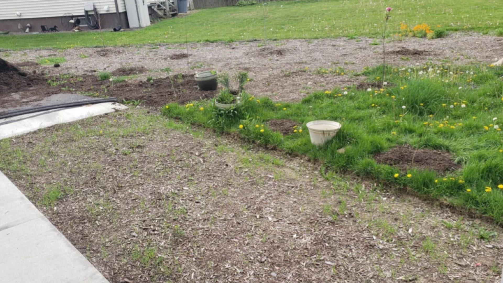 New homeowner shares inspiring transformation photos after ridding