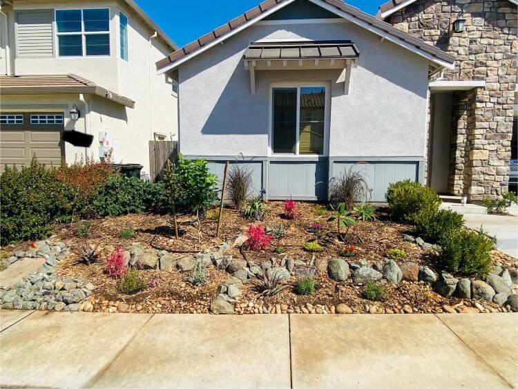 One Rip Before And After Homeowner shares before-and-after transformation photos after ripping ...