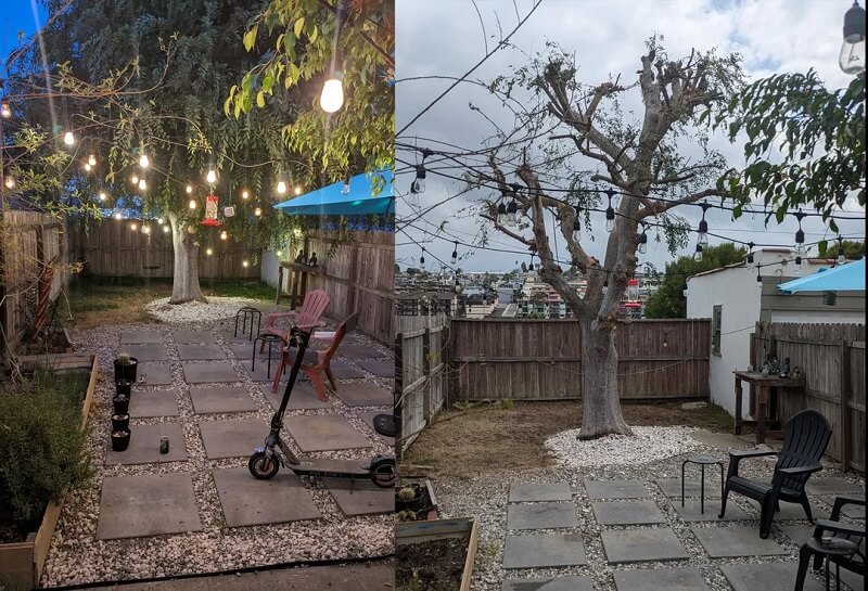 "The tree will survive, but it'll take many years to become as full as it was."