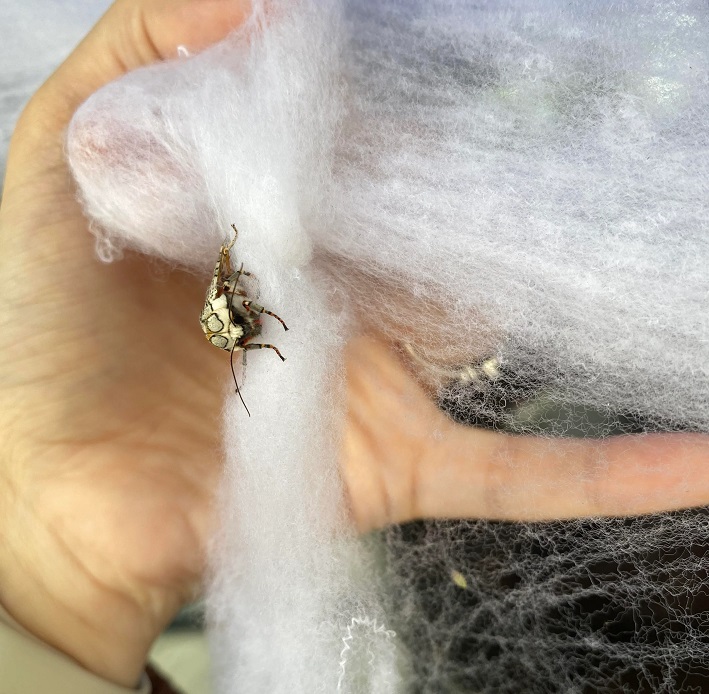 Resident issues PSA after making disturbing discovery about common