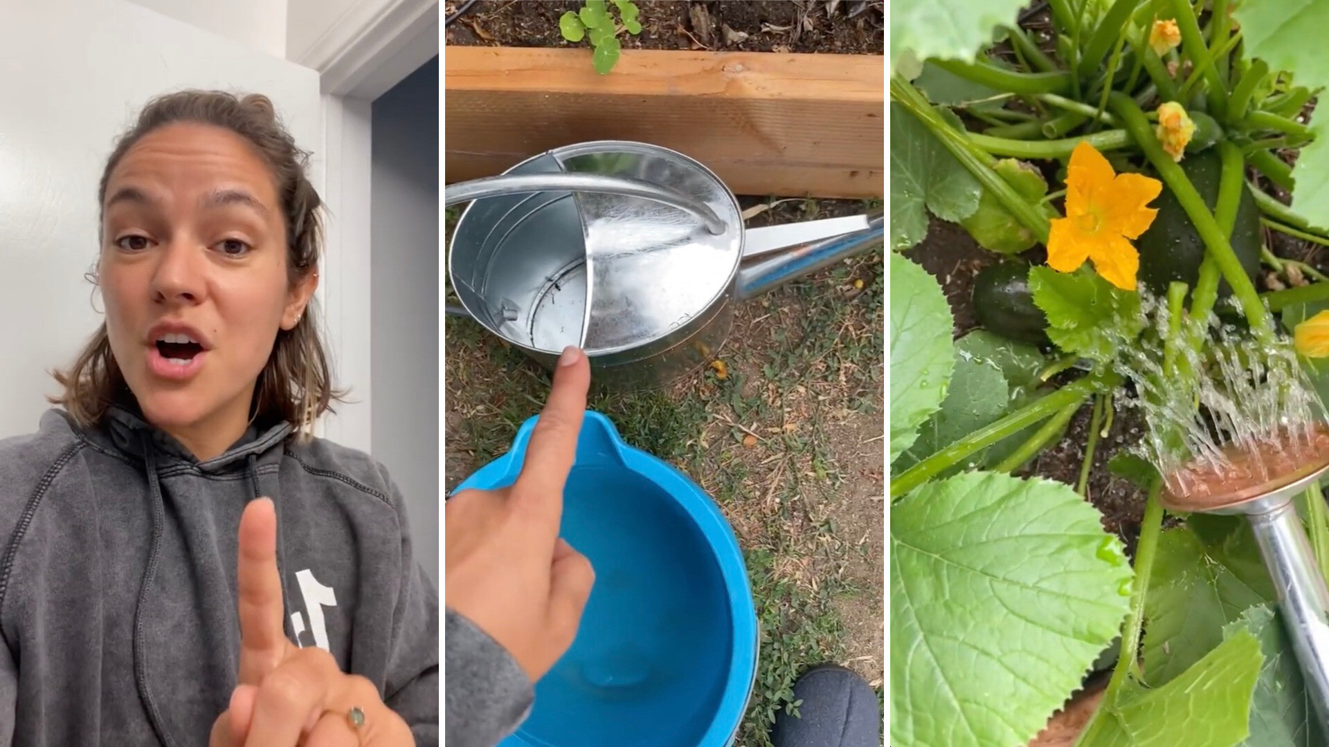 Homeowner shares moneysaving water hack to easily nourish your plants
