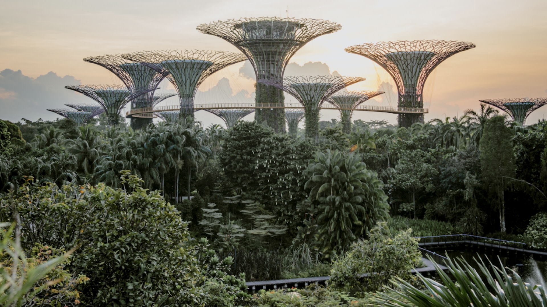 Singapore's Ambitious Plan for Cleaner Air and Sustainable Urban Development by 2050