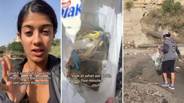 Sadly, this unpleasant discovery is not an isolated incident.