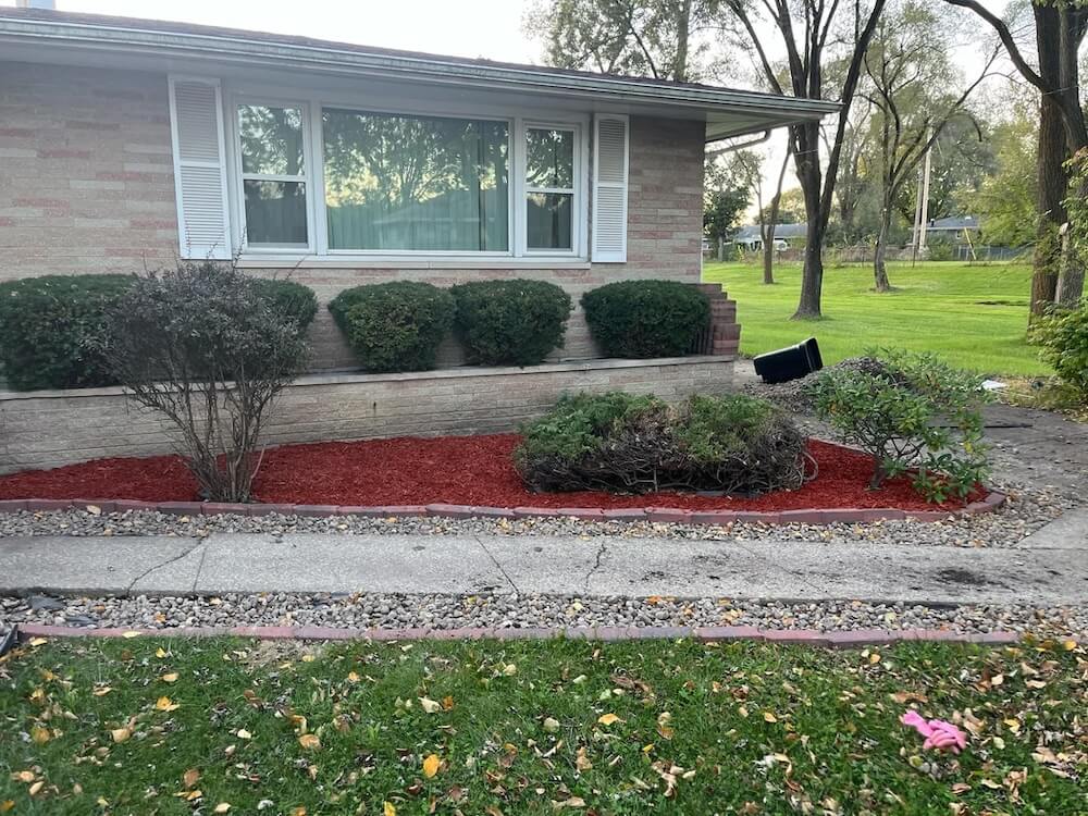 "I refuse to put it down."