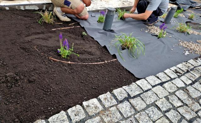 "Just a nightmare. Not worth it."