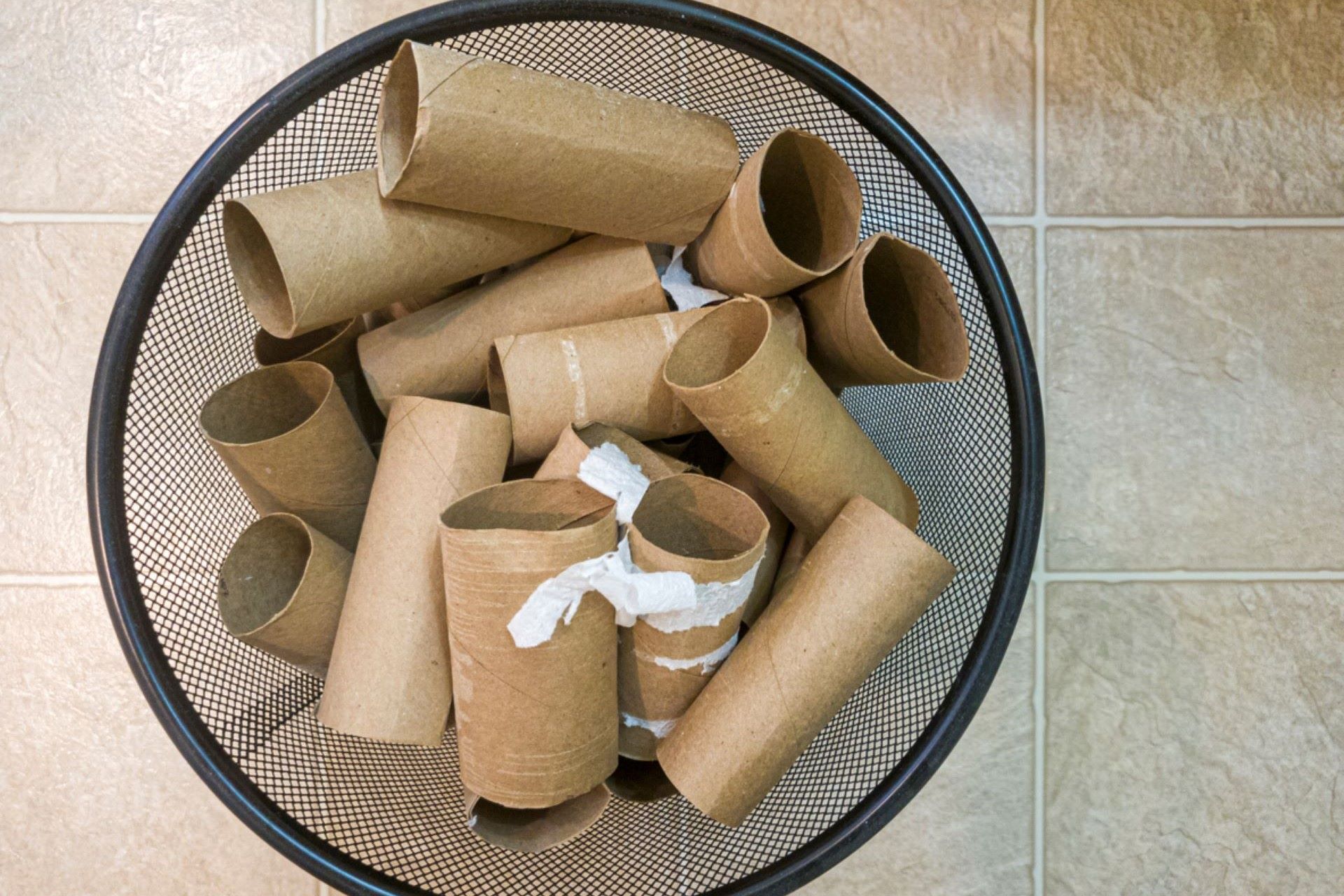 Gardener shares genius moneysaving tip to start your garden using old