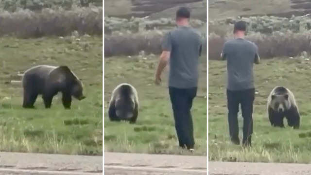 "Let's walk up to your territory, shall we, and start taking pictures."