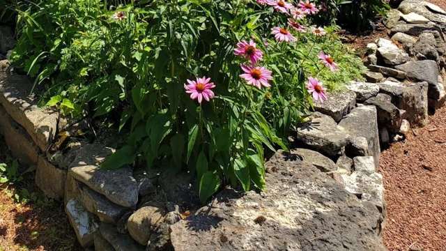 "Sculpture is so beneficial in naturalistic gardens."