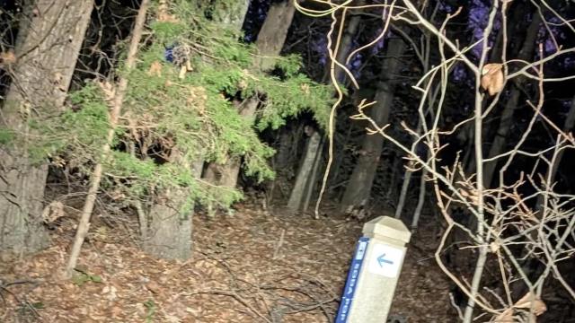 "Why are people allowed to organize mountain bike races ... but they aren't held accountable?"