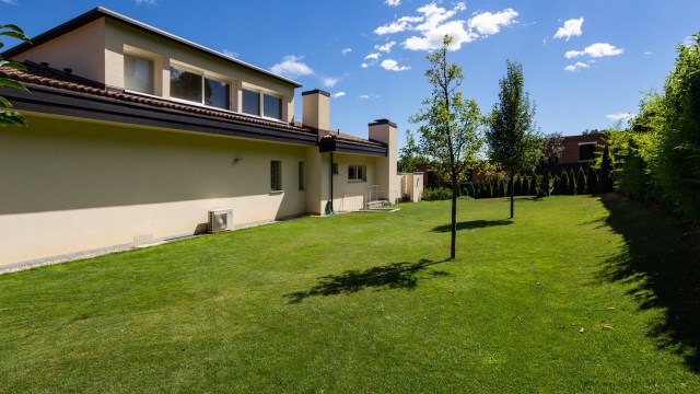 It can spell doom for a tree's health.