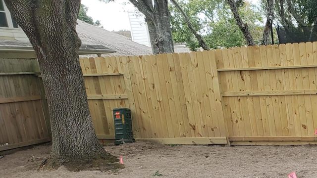 "I'd also set aside some area of your yard for a nice native pollinator garden."