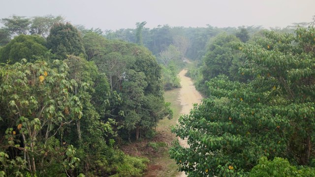 The park is home to nearly 3% of the world's mammals.