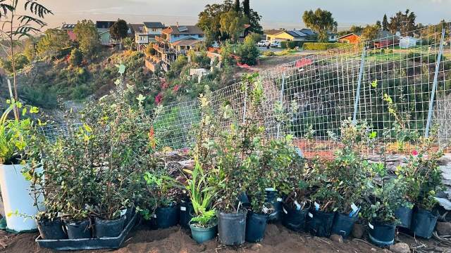 "This is not a short-lived project by any means."