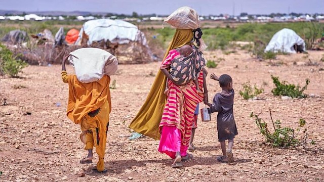 "These projects show how local teams on the ground can unlock insights with AI to anticipate risks and respond with solutions that improve the resilience of communities."