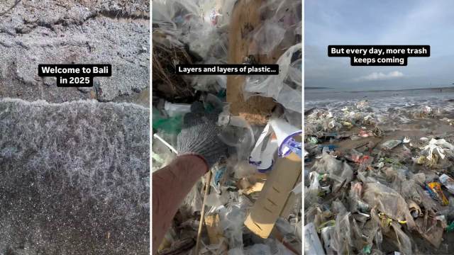 "We removed 70 tons of plastic."