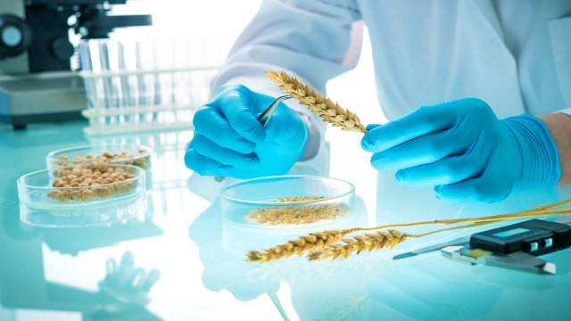 "The tribunal’s ruling will not undo the fact that Mexico’s precautionary policies are indeed justified by a wealth of scientific evidence."